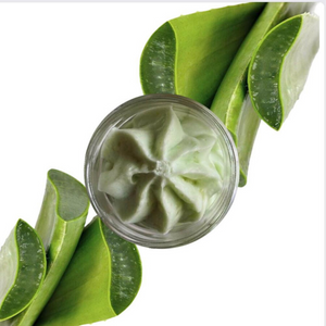 Shea Butter & Aloe Vera Face Cream